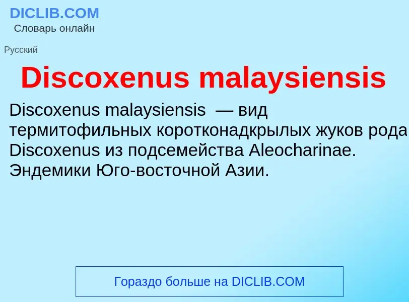 Che cos'è Discoxenus malaysiensis - definizione