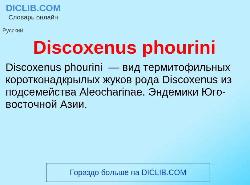 Che cos'è Discoxenus phourini - definizione