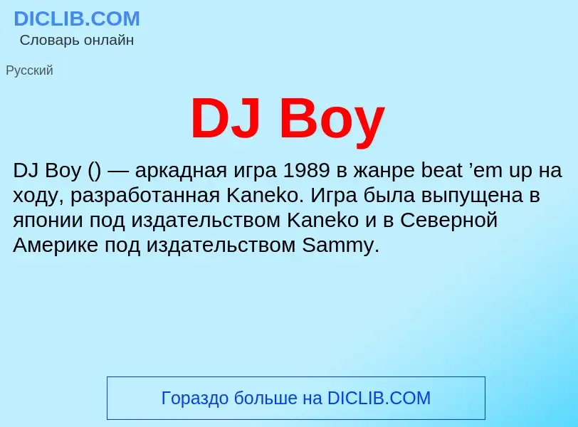 Was ist DJ Boy - Definition