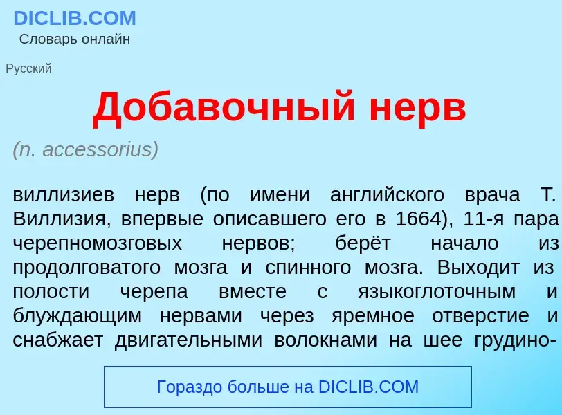 Что такое Доб<font color="red">а</font>вочный нерв - определение