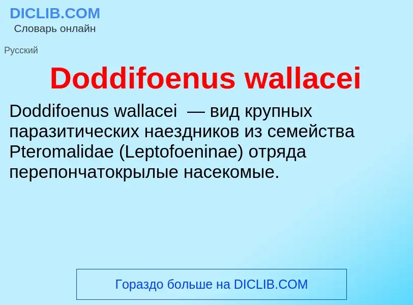 Che cos'è Doddifoenus wallacei - definizione