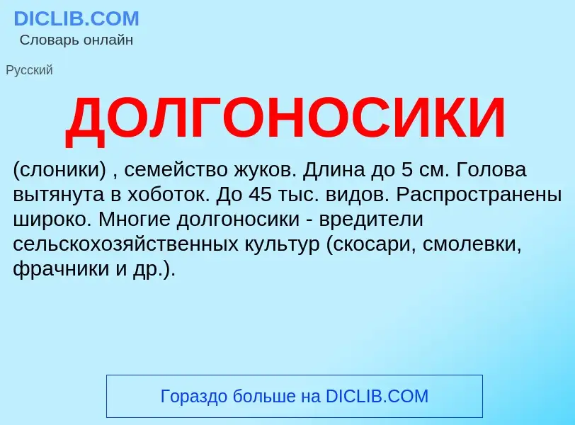 Wat is ДОЛГОНОСИКИ - definition