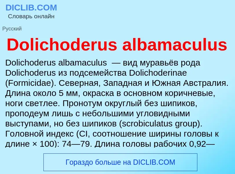 Che cos'è Dolichoderus albamaculus - definizione