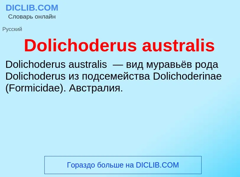 Che cos'è Dolichoderus australis - definizione