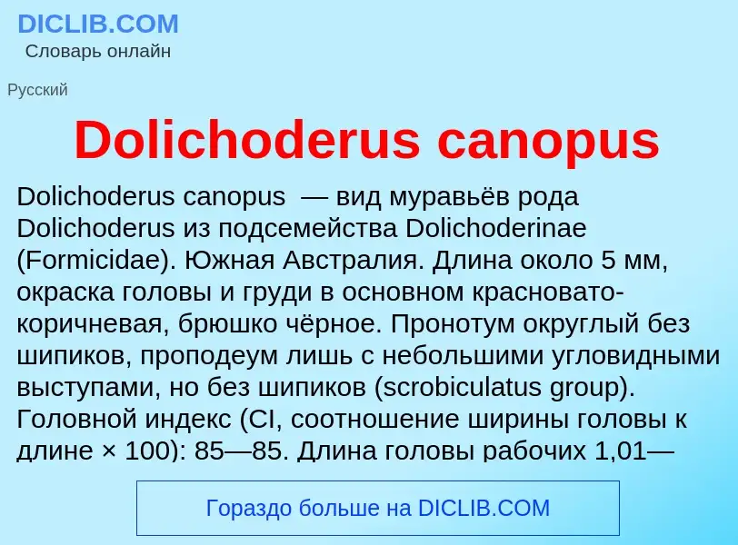 Che cos'è Dolichoderus canopus - definizione