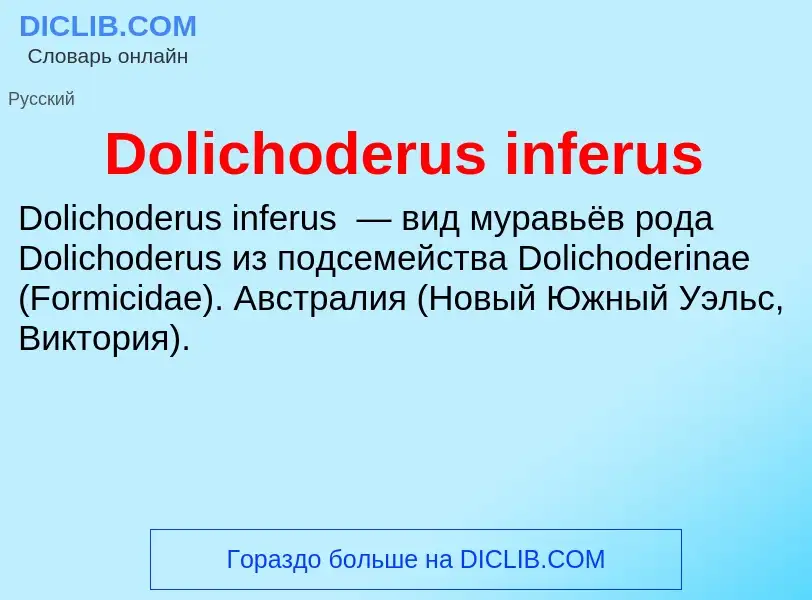 Che cos'è Dolichoderus inferus - definizione