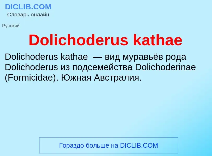 Che cos'è Dolichoderus kathae - definizione