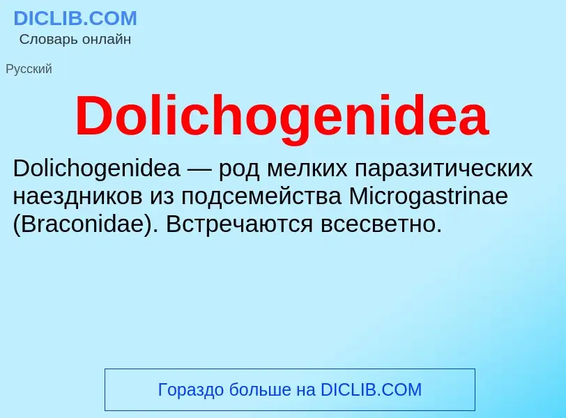 Che cos'è Dolichogenidea - definizione