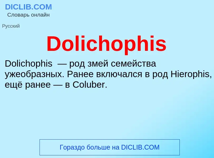 Che cos'è Dolichophis - definizione