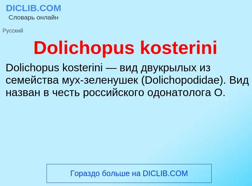 Che cos'è Dolichopus kosterini - definizione