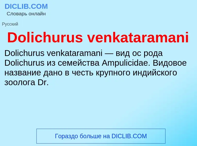 Che cos'è Dolichurus venkataramani - definizione