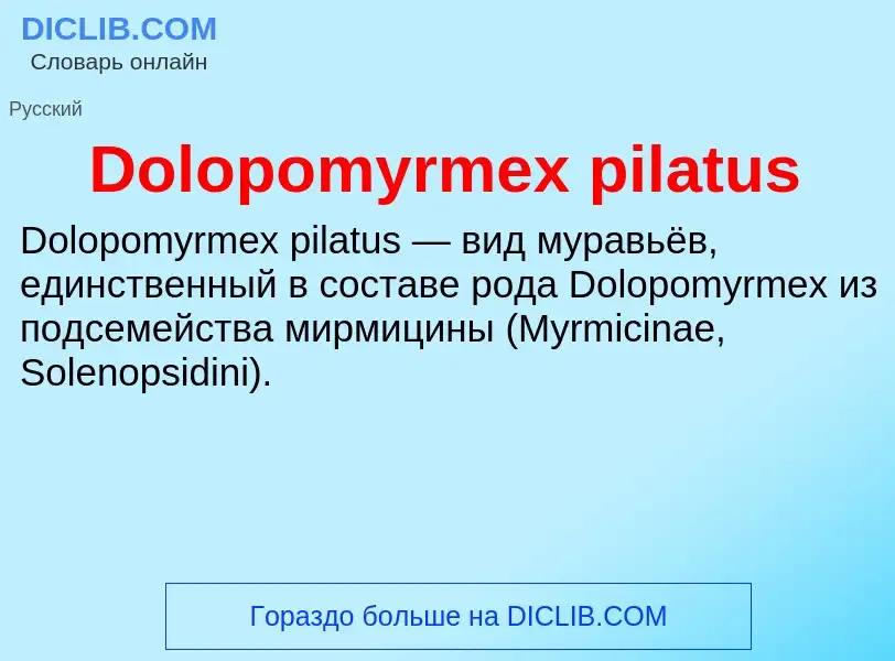 Что такое Dolopomyrmex pilatus - определение