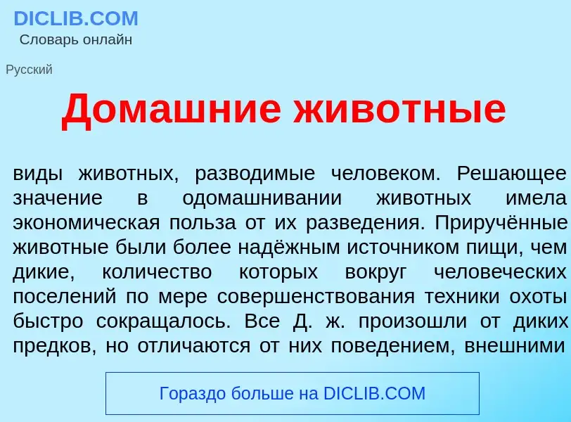 What is Дом<font color="red">а</font>шние жив<font color="red">о</font>тные - meaning and definition