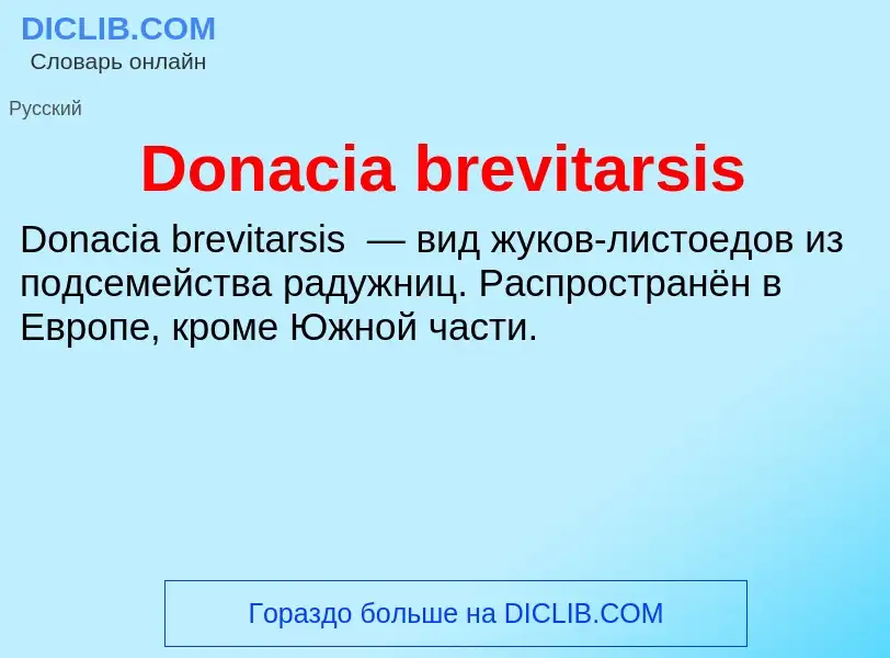 Что такое Donacia brevitarsis - определение