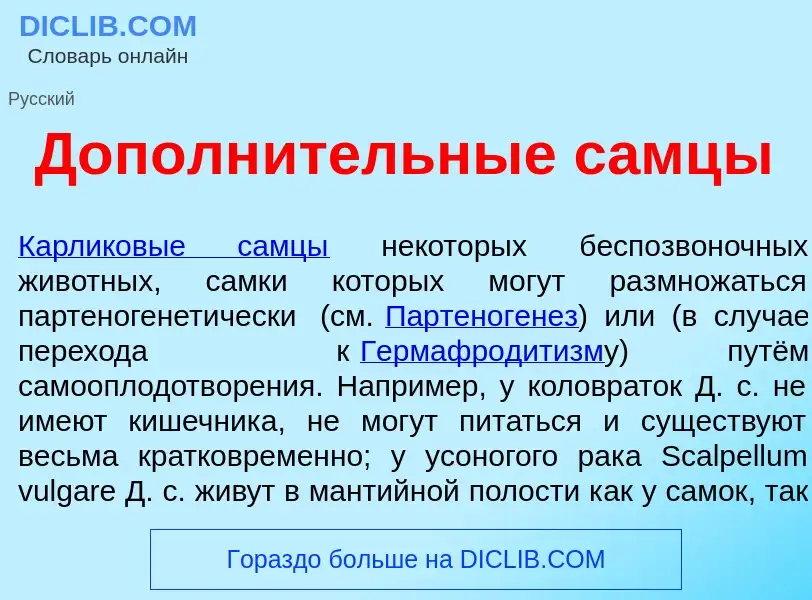 Что такое Дополн<font color="red">и</font>тельные самц<font color="red">ы</font> - определение