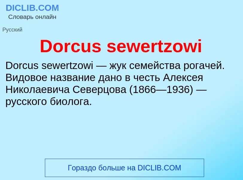 Что такое Dorcus sewertzowi - определение