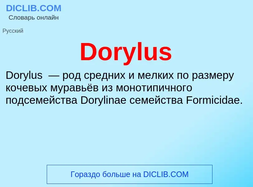 Что такое Dorylus - определение