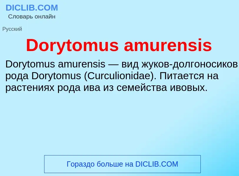 Что такое Dorytomus amurensis - определение