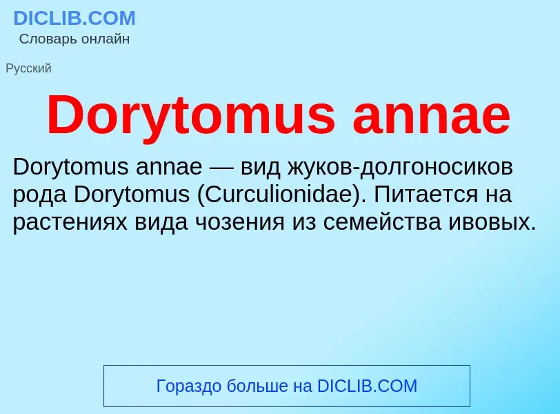 Что такое Dorytomus annae - определение