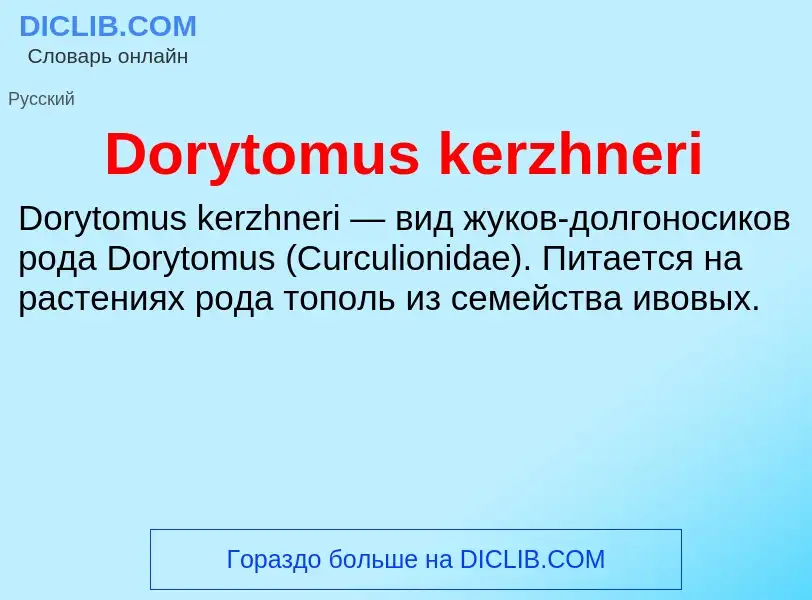 Что такое Dorytomus kerzhneri - определение