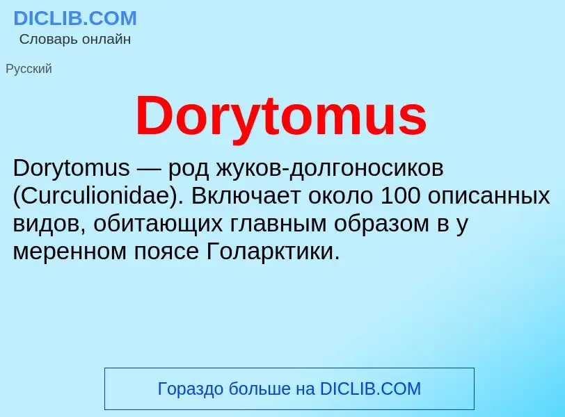 Что такое Dorytomus - определение