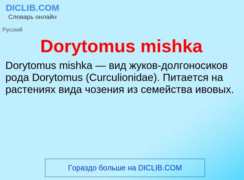 Что такое Dorytomus mishka - определение