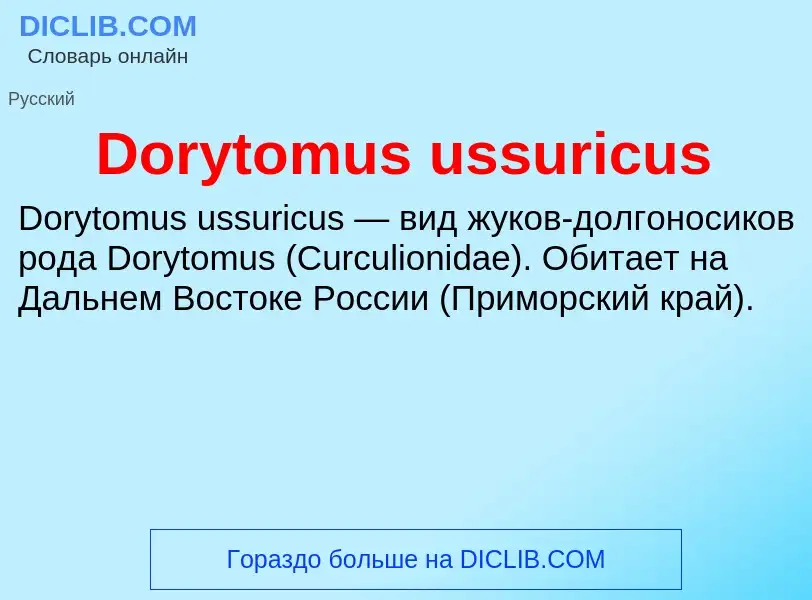 Что такое Dorytomus ussuricus - определение