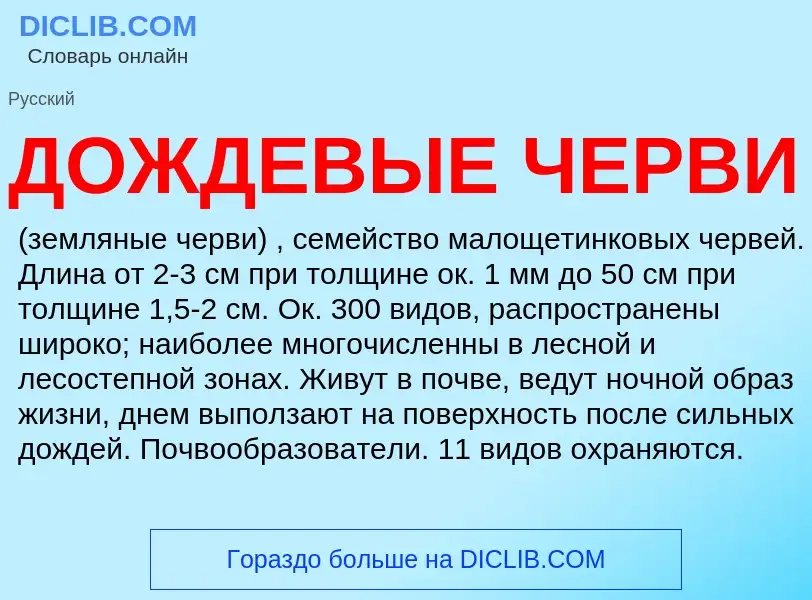 Что такое ДОЖДЕВЫЕ ЧЕРВИ - определение