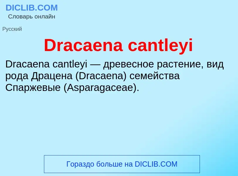 Что такое Dracaena cantleyi - определение