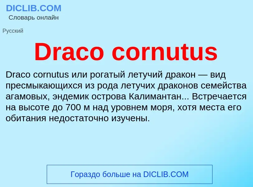 Что такое Draco cornutus - определение