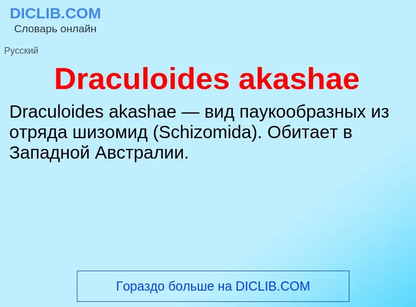 Что такое Draculoides akashae - определение