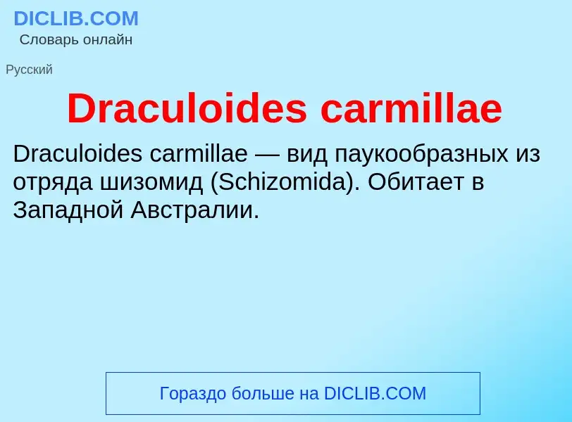 Что такое Draculoides carmillae - определение