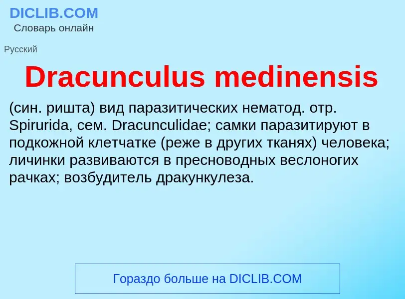 Что такое Dracunculus medinensis  - определение