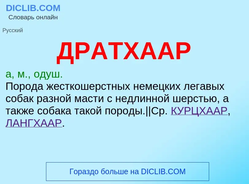 Wat is ДРАТХААР - definition