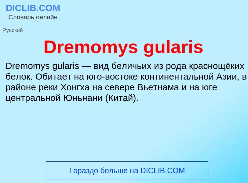 What is Dremomys gularis - meaning and definition