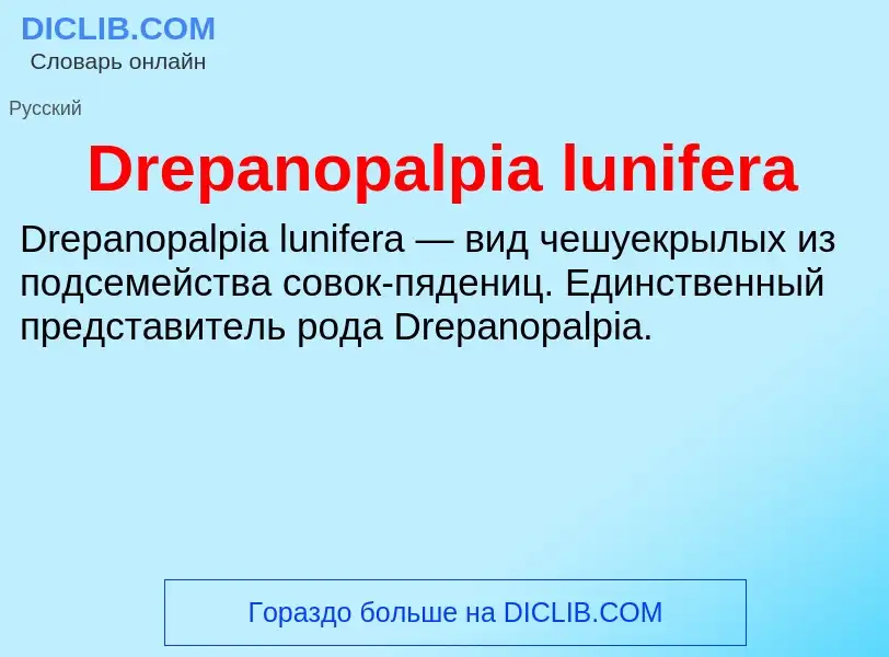 What is Drepanopalpia lunifera - meaning and definition