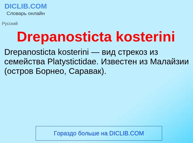 What is Drepanosticta kosterini - meaning and definition