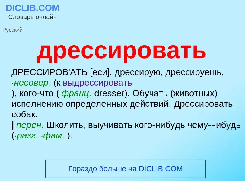 Che cos'è дрессировать - definizione