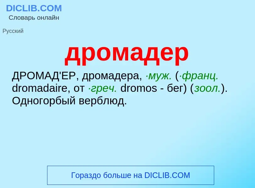 What is дромадер - meaning and definition