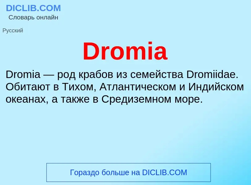 What is Dromia - meaning and definition