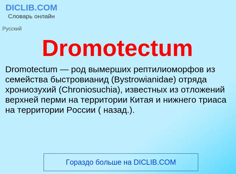 What is Dromotectum - meaning and definition