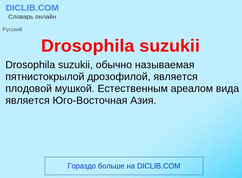 Τι είναι Drosophila suzukii - ορισμός