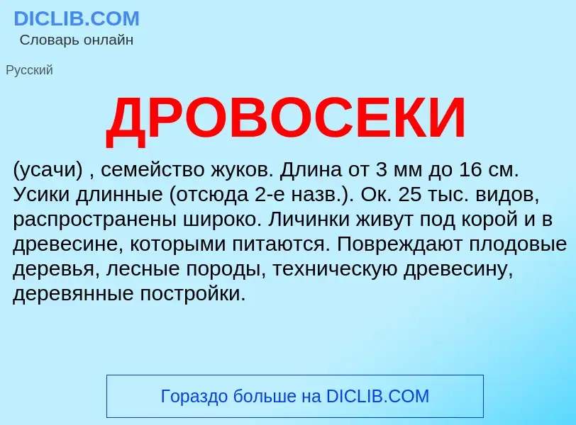 Что такое ДРОВОСЕКИ - определение