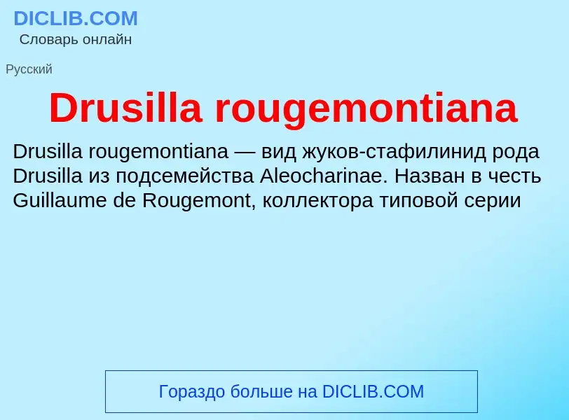 Τι είναι Drusilla rougemontiana - ορισμός