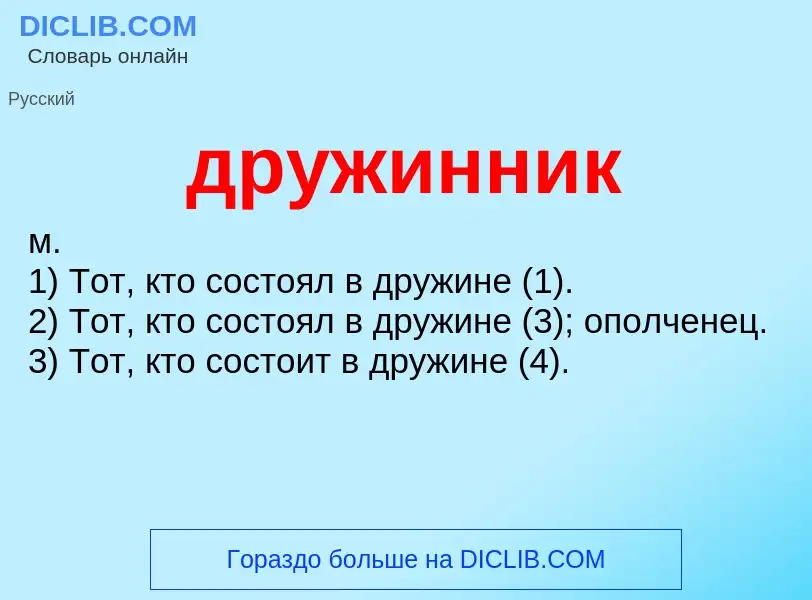 What is дружинник - meaning and definition