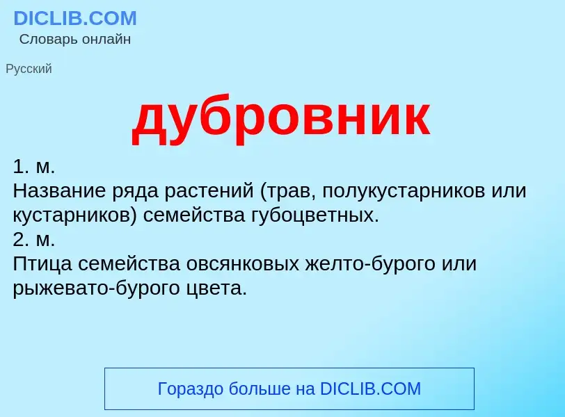 Was ist дубровник - Definition