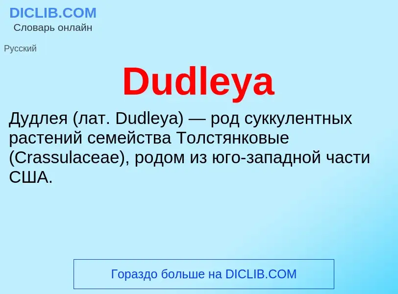 Τι είναι Dudleya - ορισμός