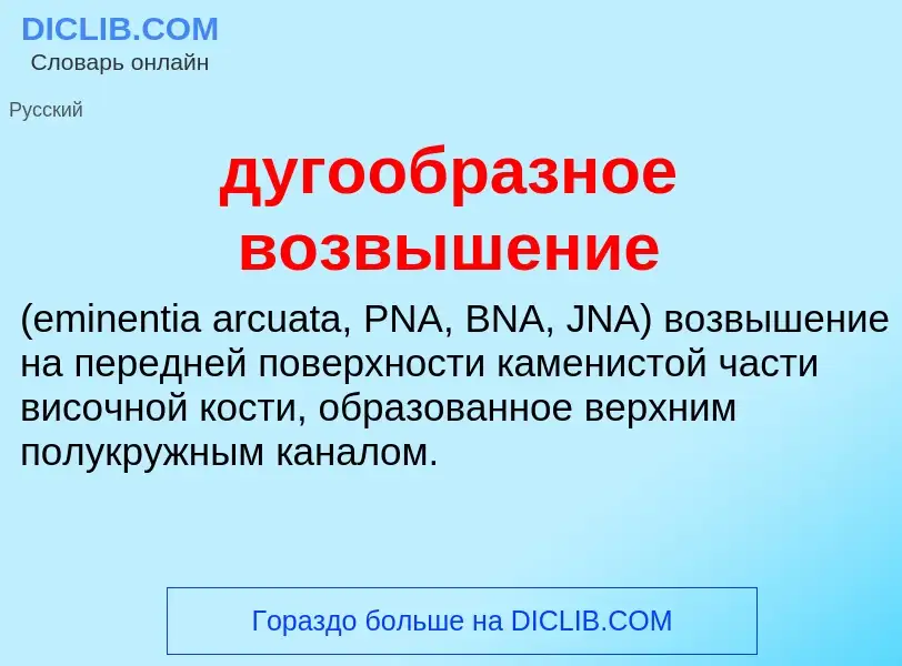 Что такое дугообразное возвышение  - определение