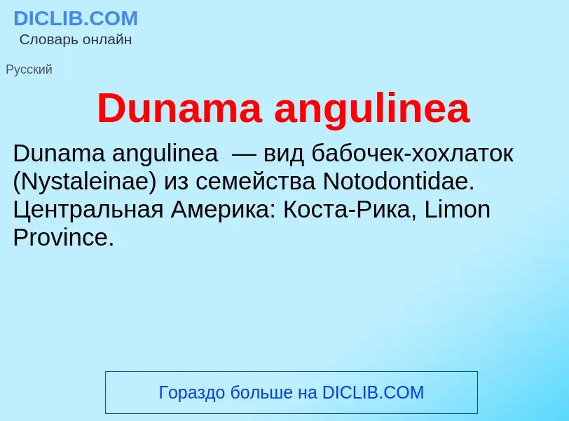 Τι είναι Dunama angulinea - ορισμός