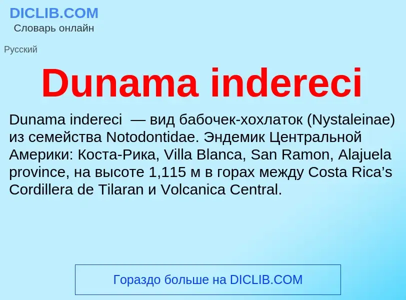 Что такое Dunama indereci - определение